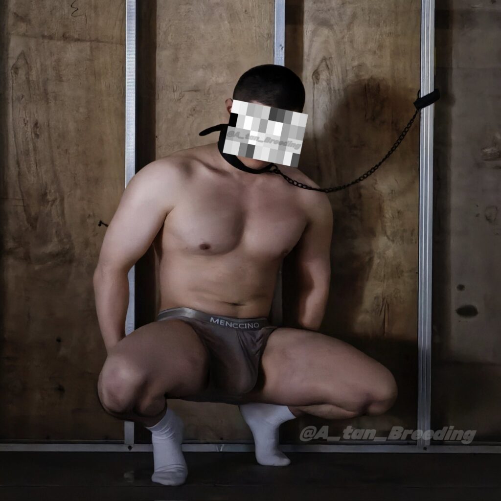 Daymuscle之(@A_tan_Breeding-阿坦）