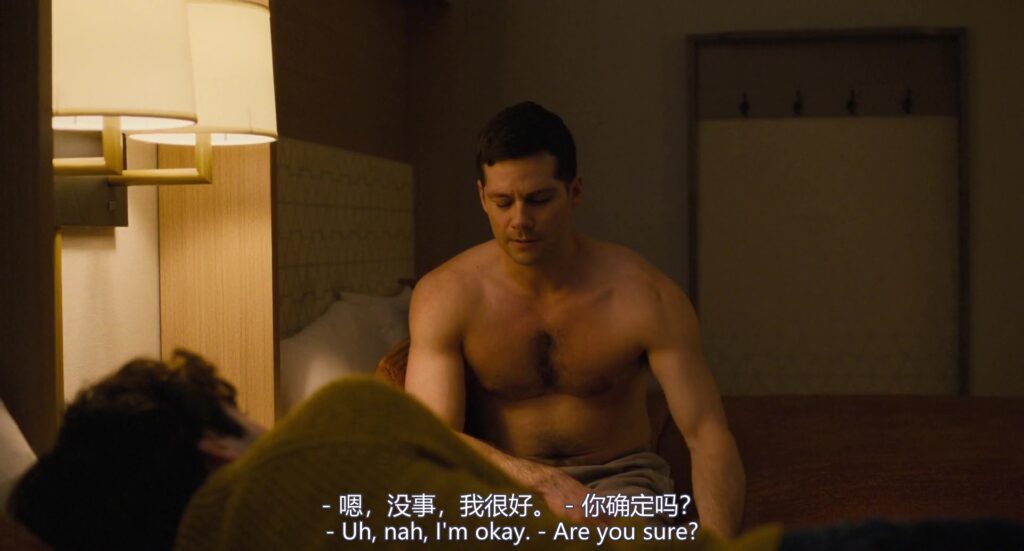同志电影系列-美国-无双 Twinless (2025)