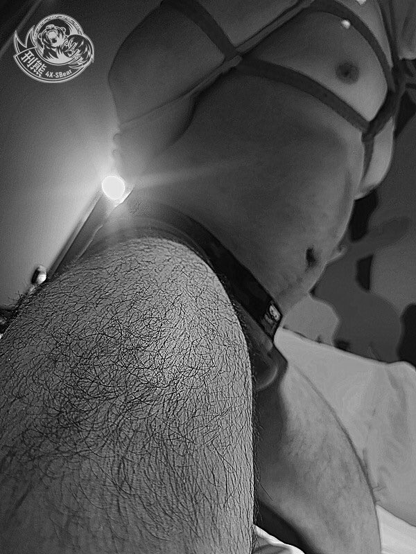 Daymuscle之(@Dr_BTM_rD-刑熊)