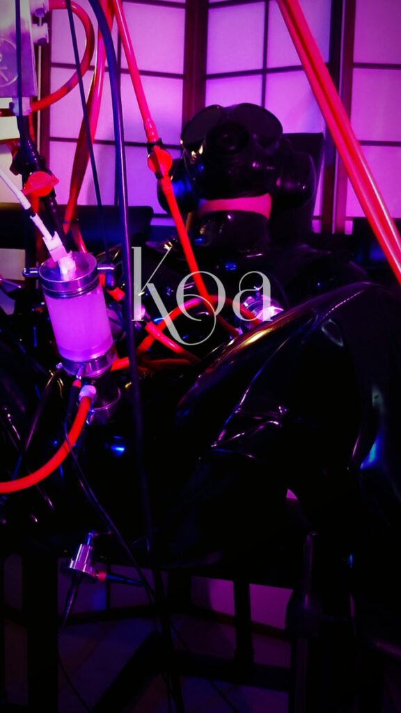 Daymuscle之(@KoaTsiMaster-KoaTsiMaster）