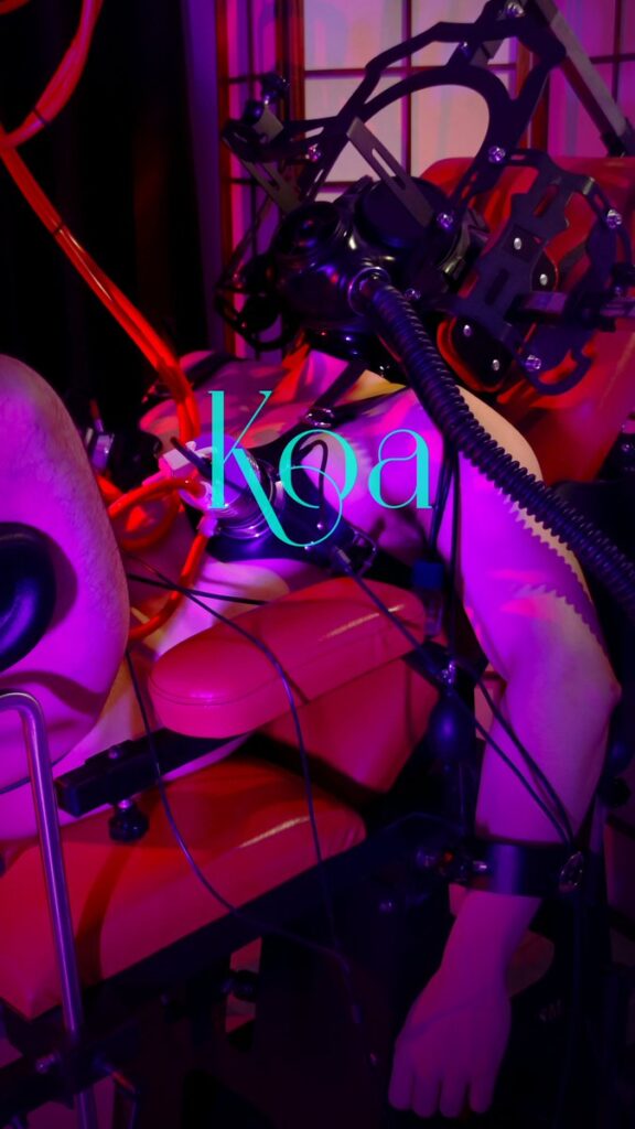 Daymuscle之(@KoaTsiMaster-KoaTsiMaster）