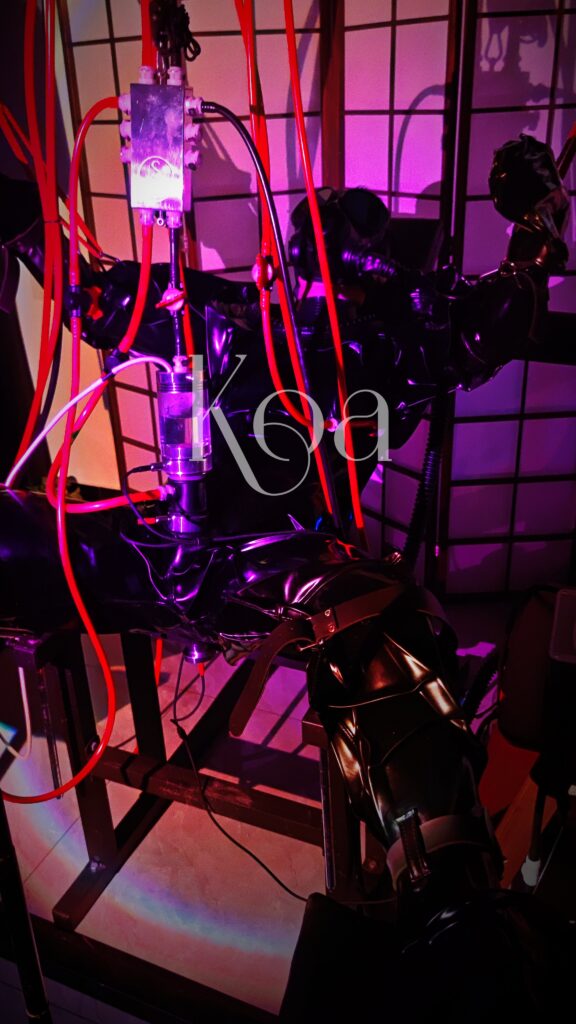 Daymuscle之(@KoaTsiMaster-KoaTsiMaster）