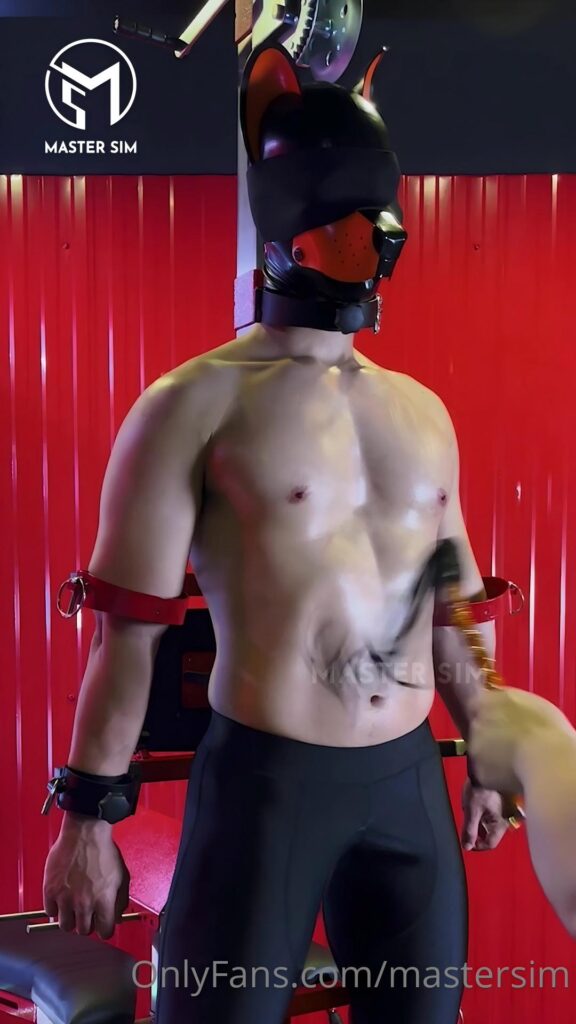 Daymuscle之（@of master sim-01）（10.6GB）