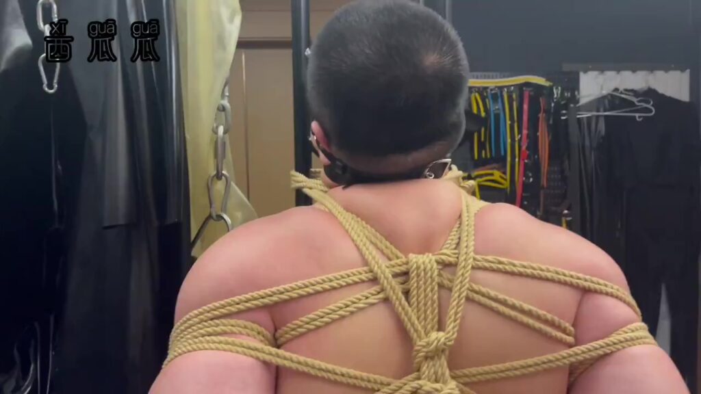 Daymuscle之(@xgg19862596-西瓜瓜)